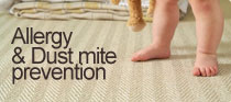 allergy and dustmite prevention ad